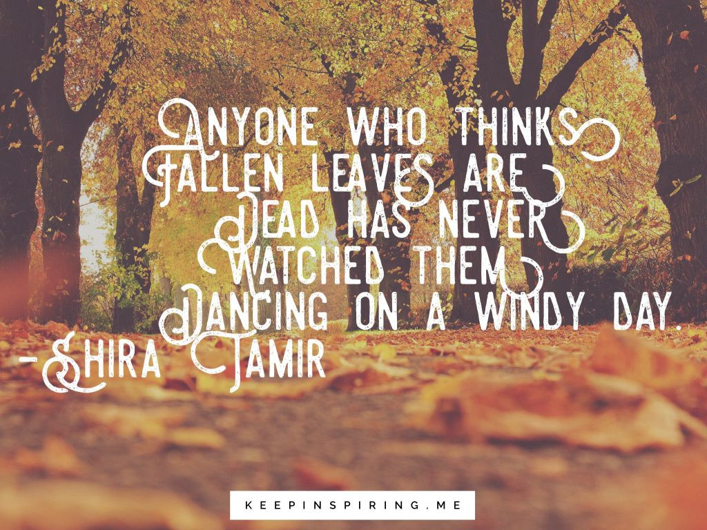 Fall Quote
 Quotes About Fall