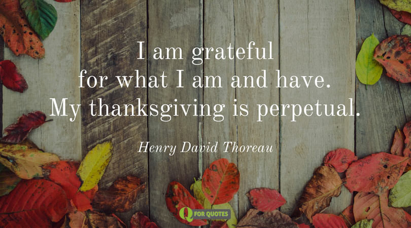 Famous Thanksgiving Quotes
 100 Famous & Original Happy Thanksgiving Quotes [2019]