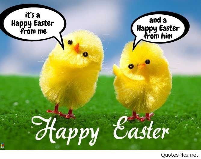 Happy Easter Funny Quotes
 Happy Easter Easter