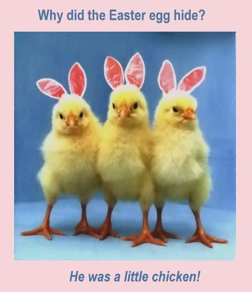 Happy Easter Funny Quotes
 Funny Easter Stuff