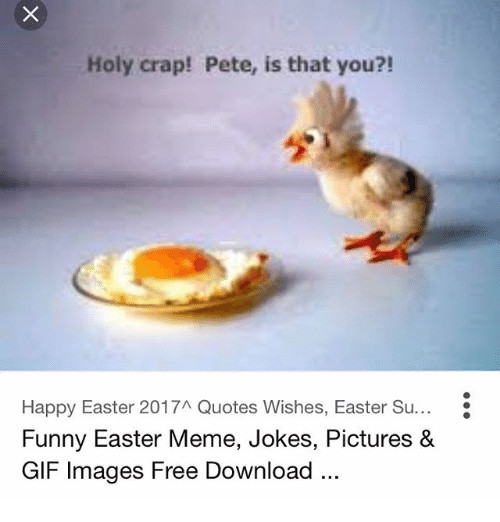 Happy Easter Funny Quotes
 Search Funny Birthday Quotes Memes on me