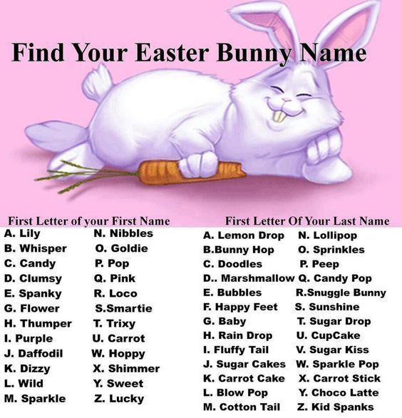 Happy Easter Funny Quotes
 Find Your Easter Bunny Name easter easter pictures easter