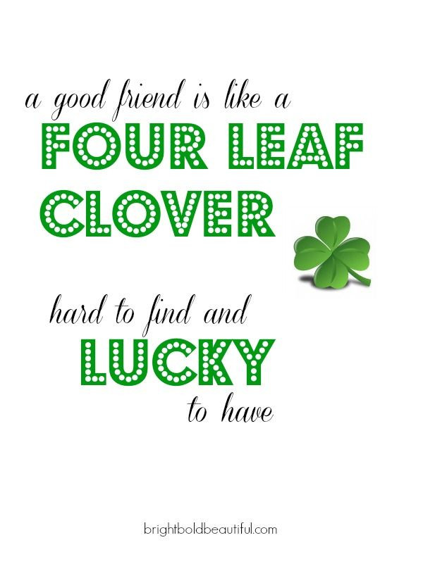 Happy St Patrick's Day Quotes
 Happy St Patricks Day Quotes Bright Bold and Beautiful