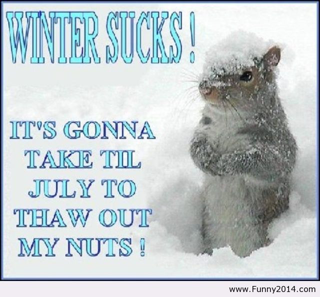 I Hate Winter Quotes
 301 Moved Permanently