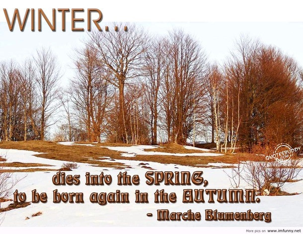 I Hate Winter Quotes
 I Hate Winter Funny Quotes QuotesGram