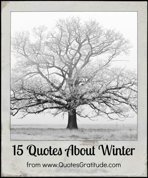 I Hate Winter Quotes
 I Hate Winter Funny Quotes QuotesGram
