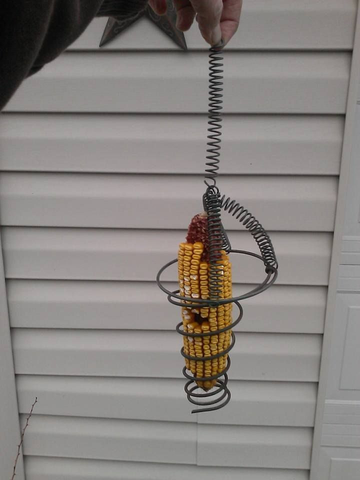 Metal Spring Ideas squirrel feeder I made from old bed springs
