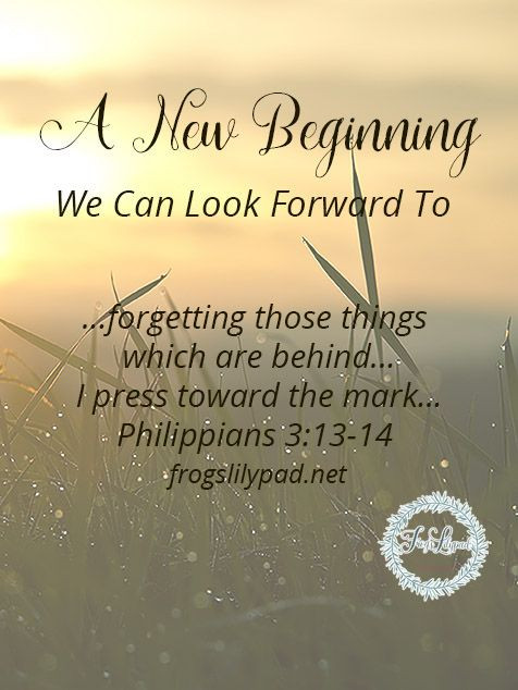 New Year Bible Quote
 A New Beginning We Can Look Forward To