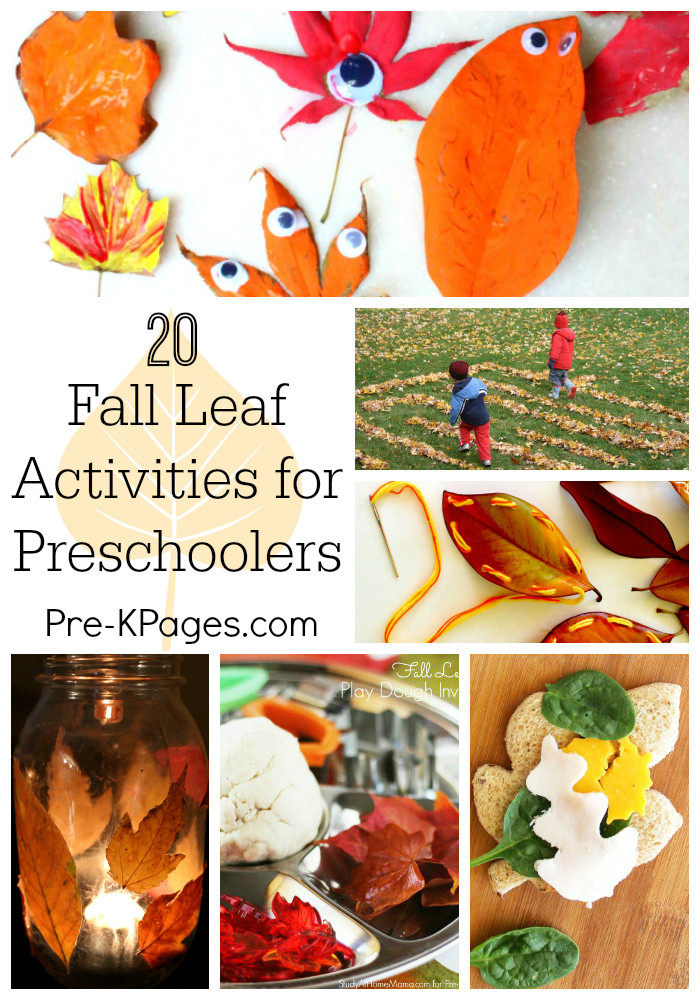 Prek Fall Activities
 20 Fall Leaf Activities for Preschoolers