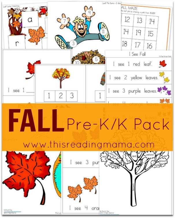 Prek Fall Activities
 FREE Fall Pre K K Pack