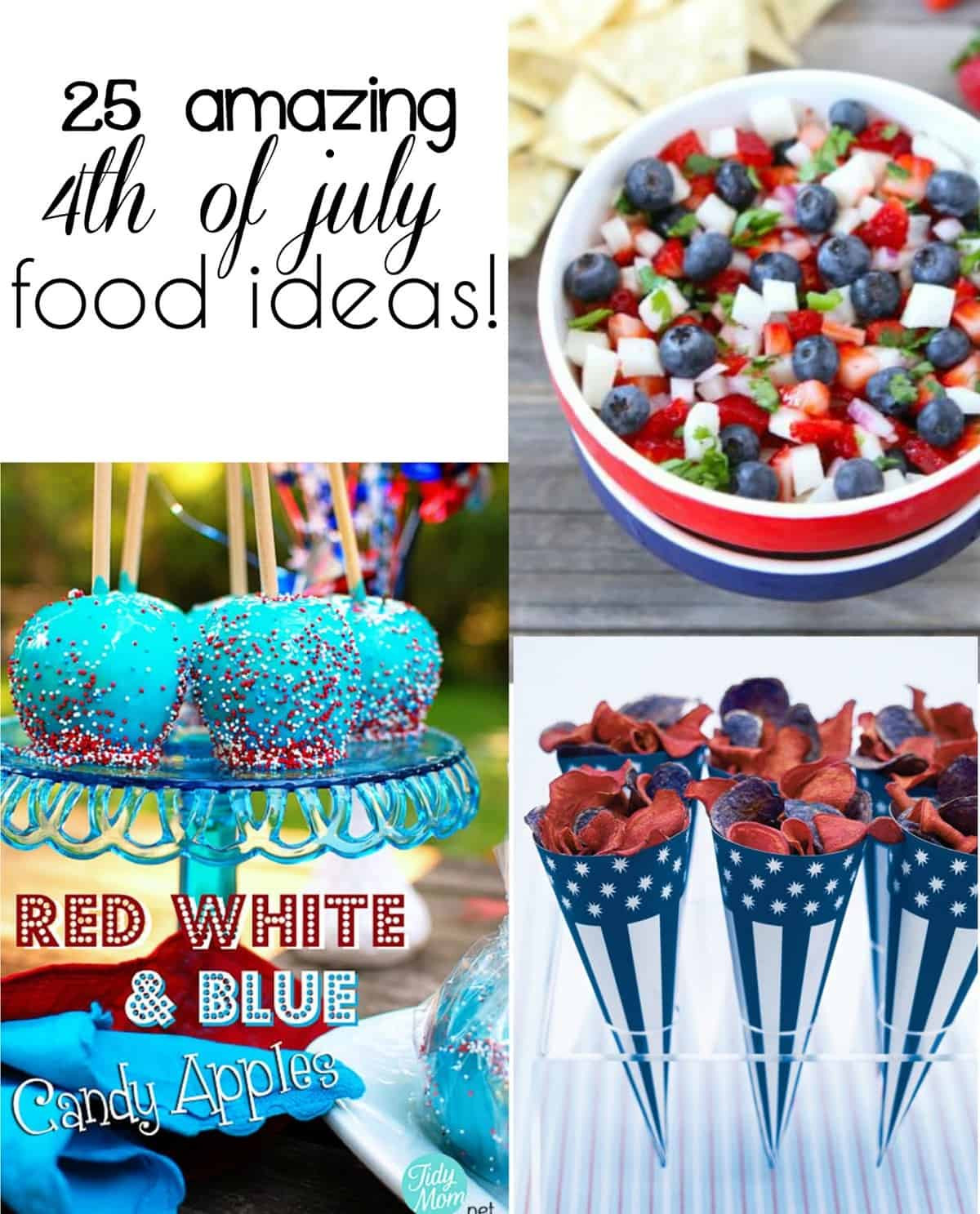 Snacks For 4th Of July Party
 25 July 4th Food Ideas