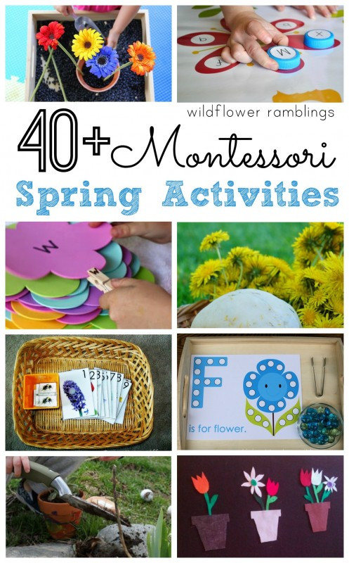 Spring Ideas Activities
 Montessori Spring Activities Wildflower Ramblings