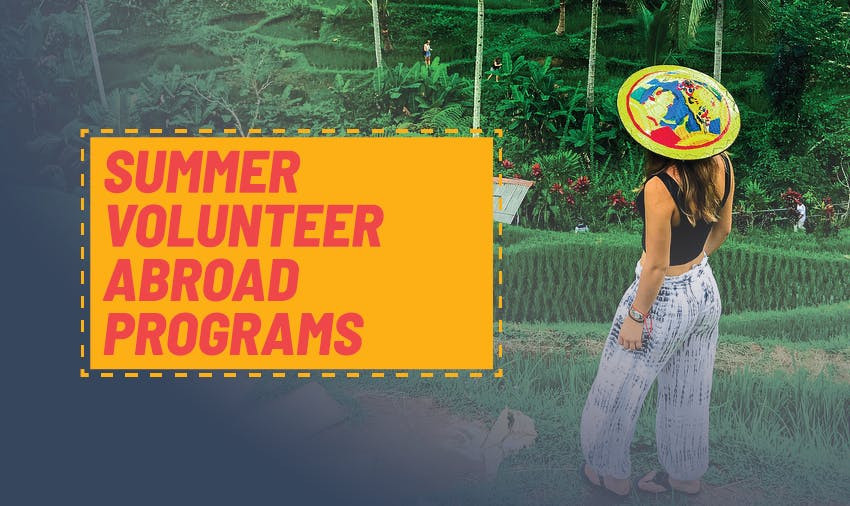 Summer Food Service Program 2020
 The 16 Best Summer Volunteer Abroad Programs In 2020