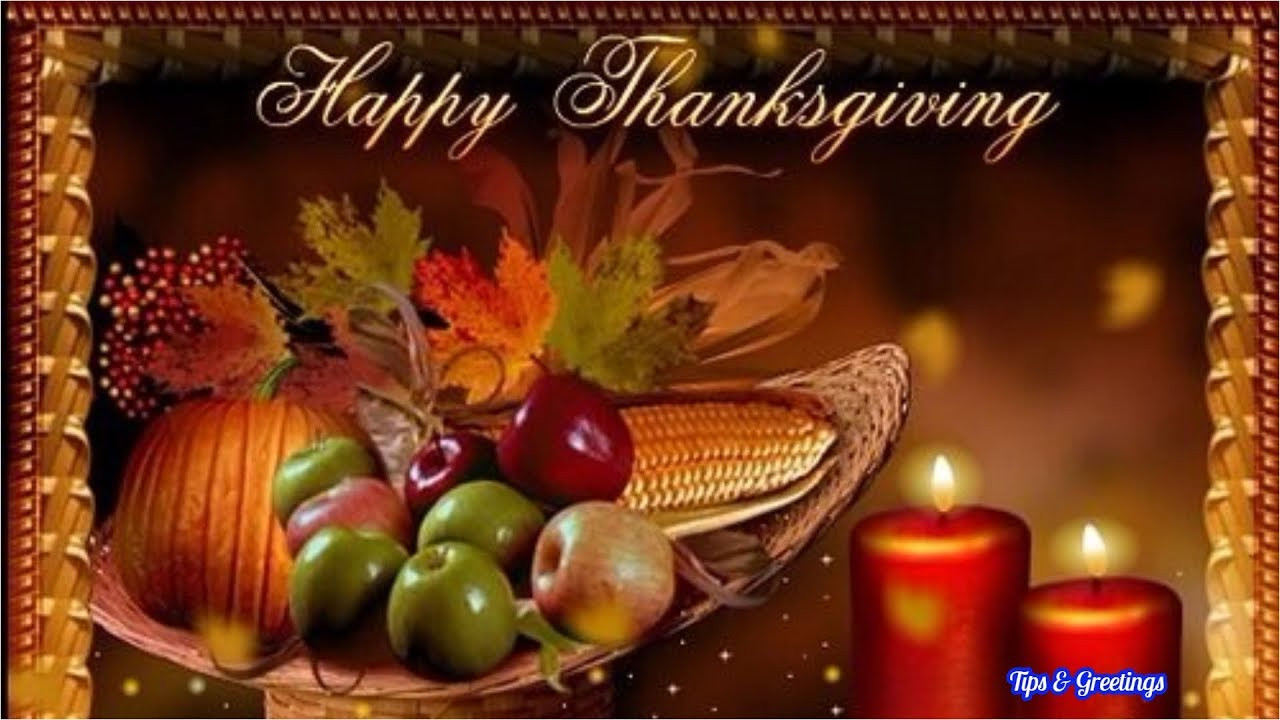 Thanksgiving Pics And Quotes
 Best Wishes For Thanksgiving Day Tips n Greetings