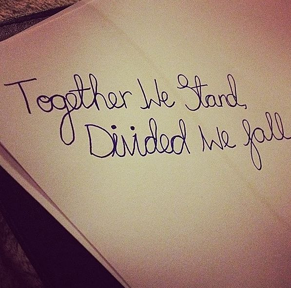 Together We Stand Divided We Fall Quote
 to her we stand divided we fall