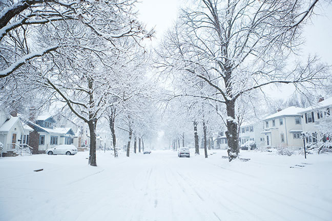 Twin Cities Winter Activities
 News & Events