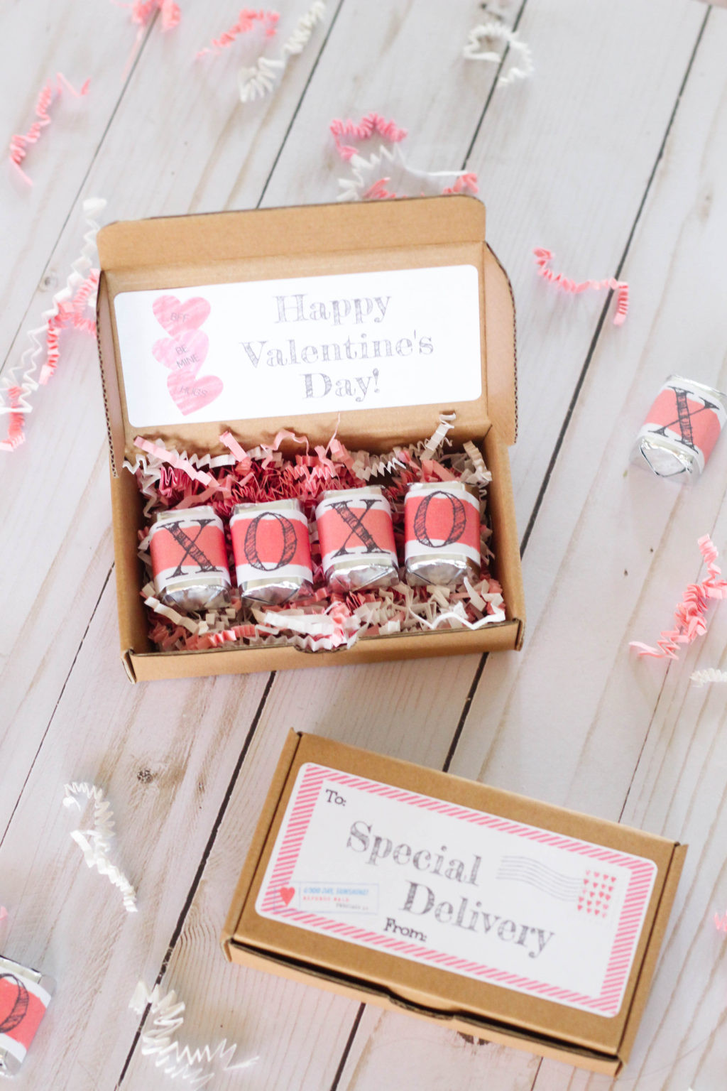 Valentines Day Online Gifts
 Special Delivery Valentine s Day Gift for Classmates