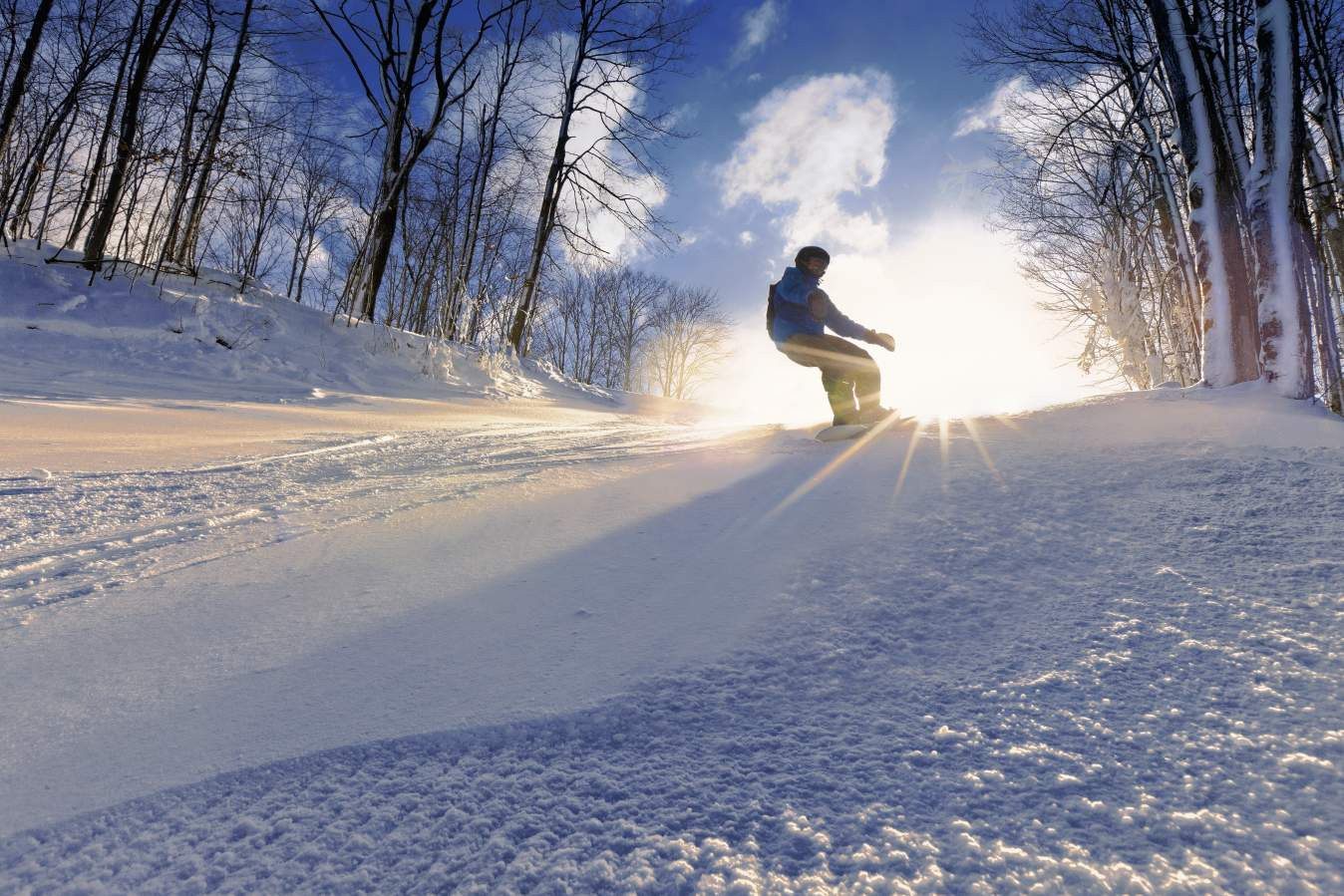 Active winter. Speed'n Tricks зима. Action Winter Journey.