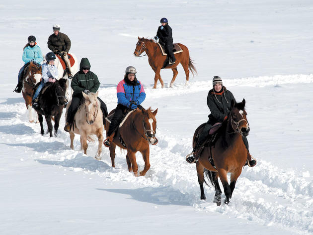 Winter Activities In Wisconsin
 Winter vacation ideas in the Midwest for families