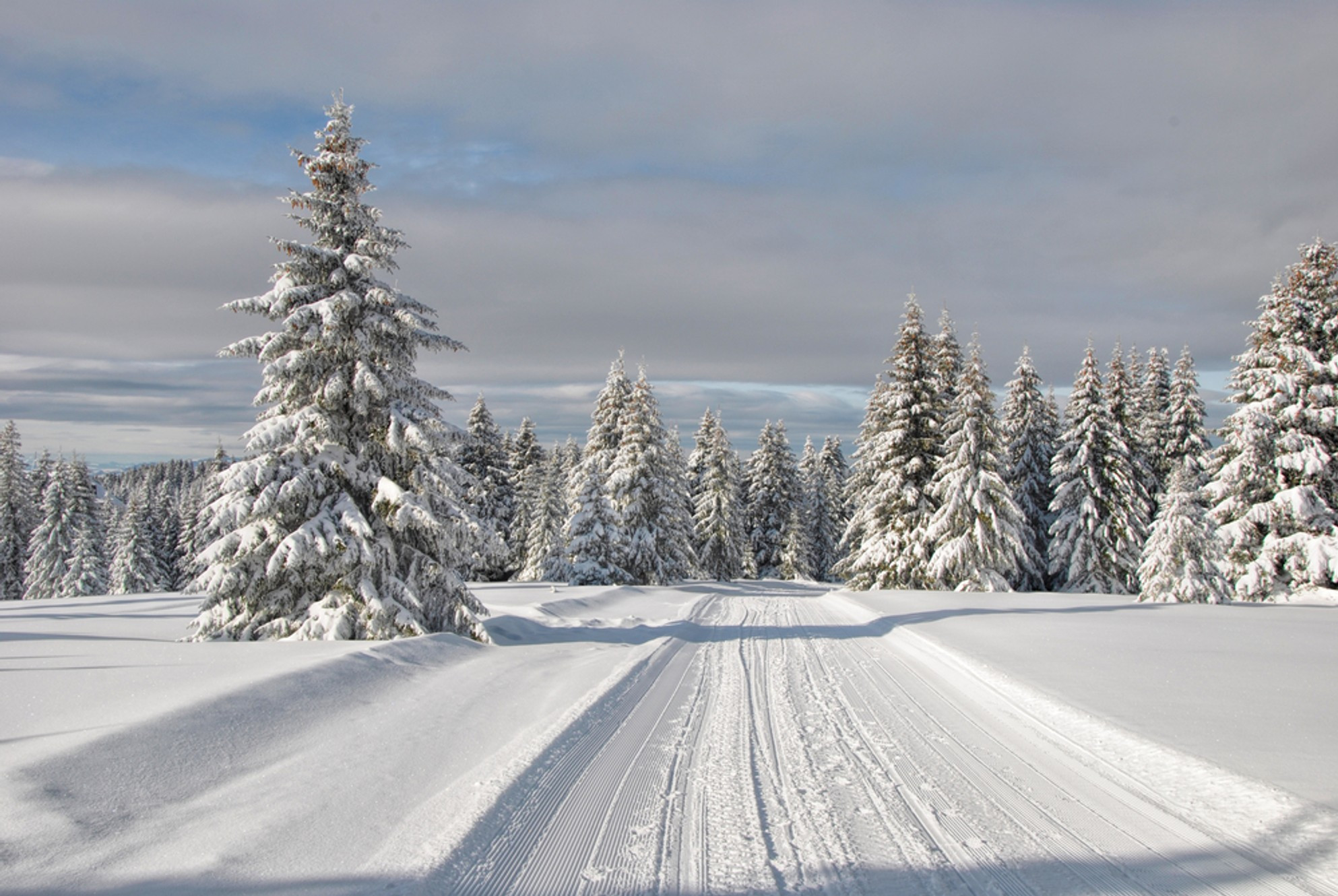 Winter Activities In Wisconsin
 Top 5 Winter Activities In The Northwoods of Wisconsin