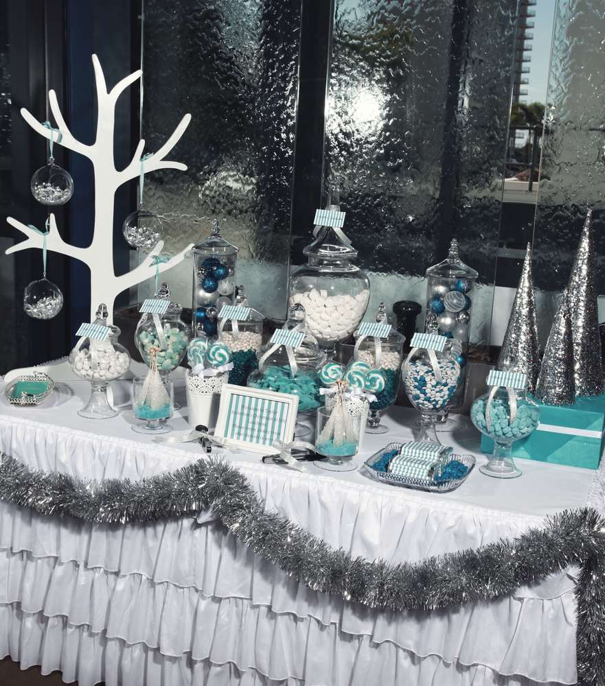 Winter Party Supplies
 Southern Blue Celebrations Winter Party Ideas