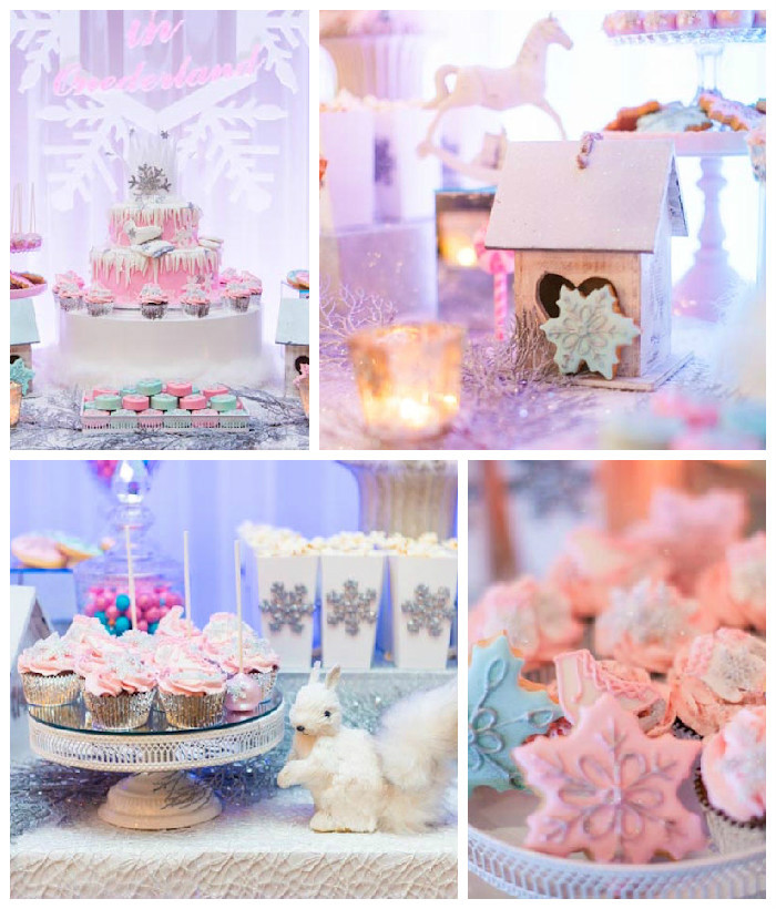 Winter Themed Party Supplies
 Kara s Party Ideas Pastel Winter ONEderland Themed