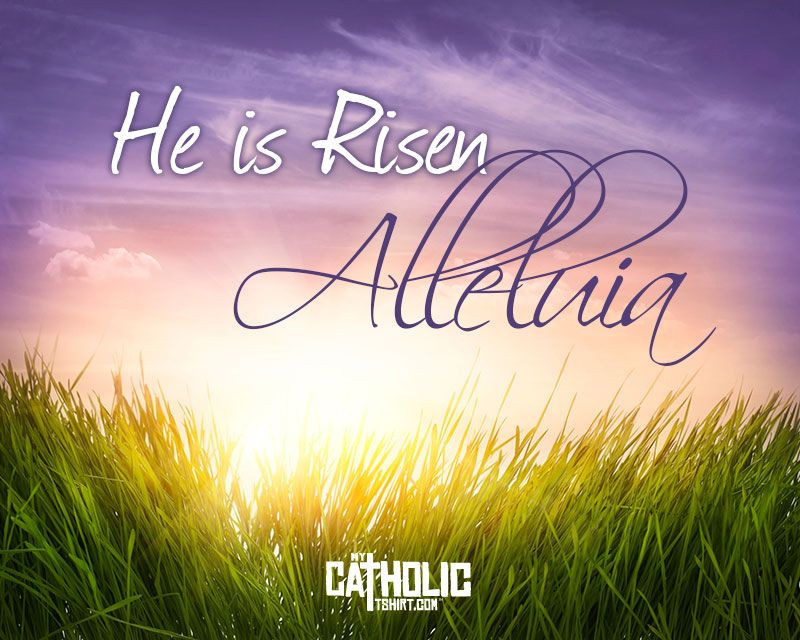 Easter He Has Risen Quotes
 He is Risen Alleluia easter mycatholictshirt