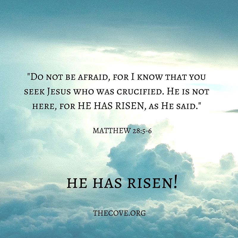 Easter He Has Risen Quotes
 Our Savior Has Risen Happy Easter from The Cove