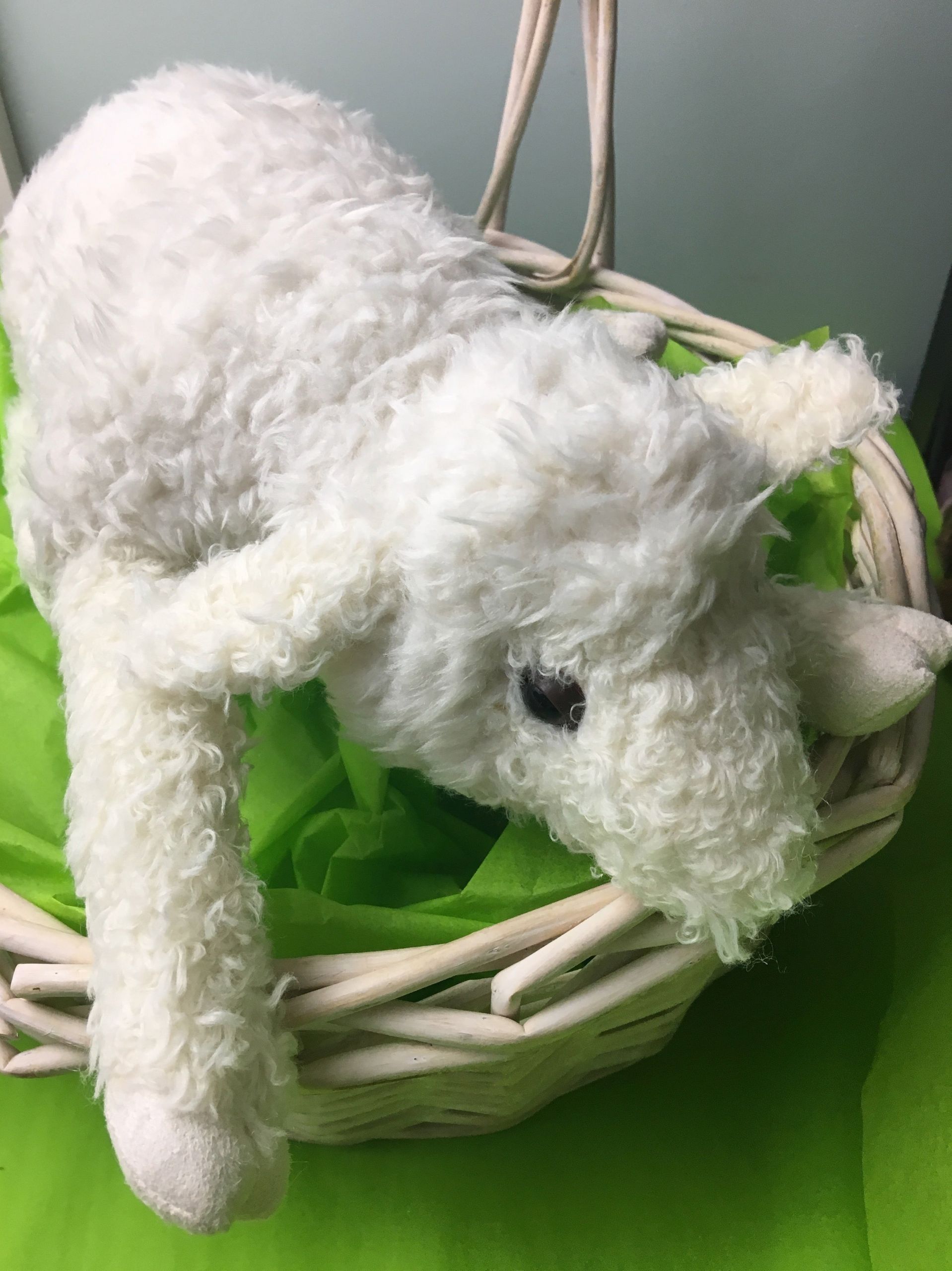 Easter Lamb Stuffed Animal
 Little Lamb Hugs Plush Stuffed Animal Best Easter Baskets