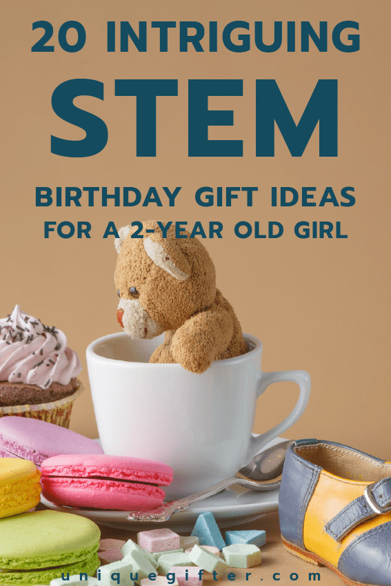 Gift Ideas For 20 Year Old Girls
 20 STEM Birthday Gift Ideas for a 2 Year Old Girl Unique
