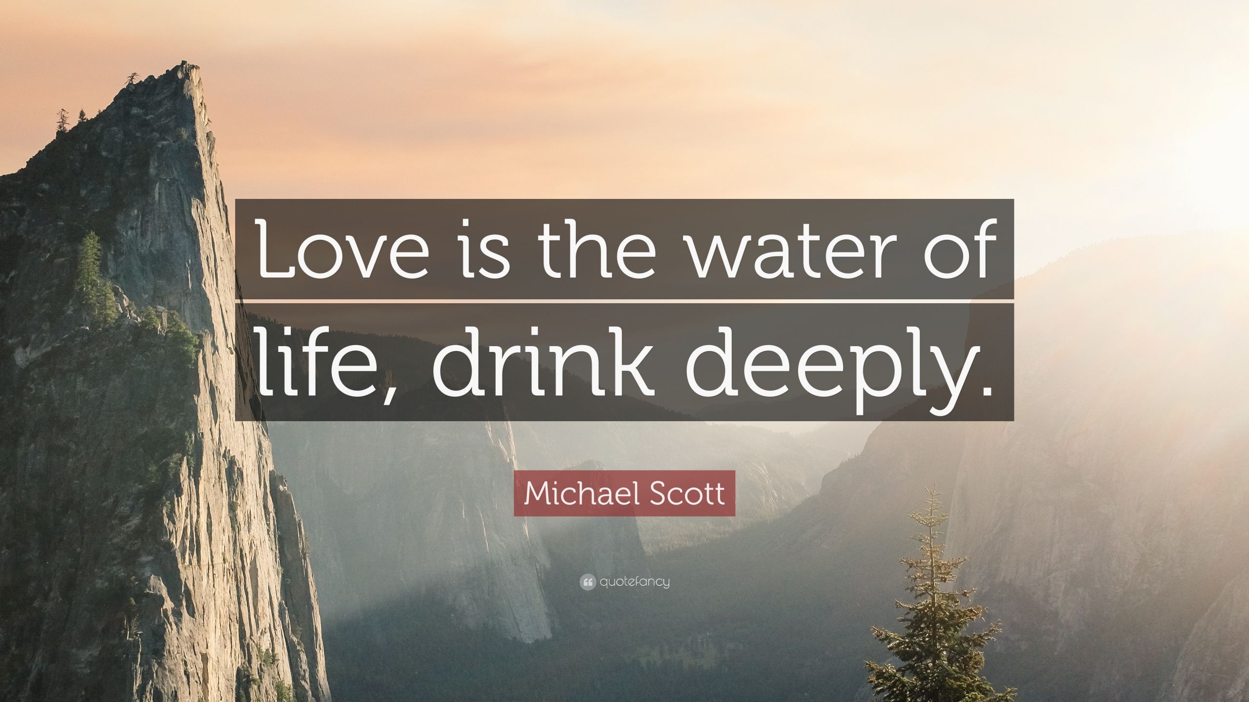 Michael Scott Quotes About Love
 Michael Scott Quote “Love is the water of life drink