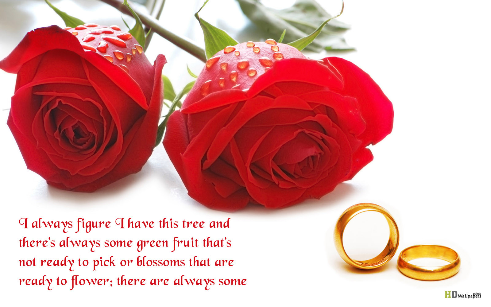 Quotes About Flowers And Love
 Flower Love Quotes And Sayings QuotesGram