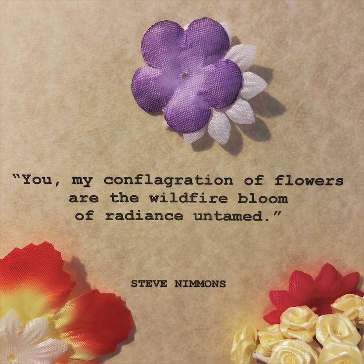 Quotes About Flowers And Love
 Burning Love