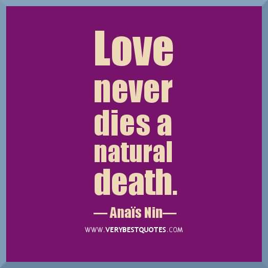 Quotes About Love And Loss
 Quotes About Love And Loss 04