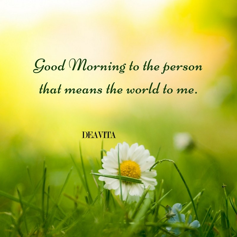 Romantic Good Morning Quotes
 Romantic good morning quotes and greetings for the start
