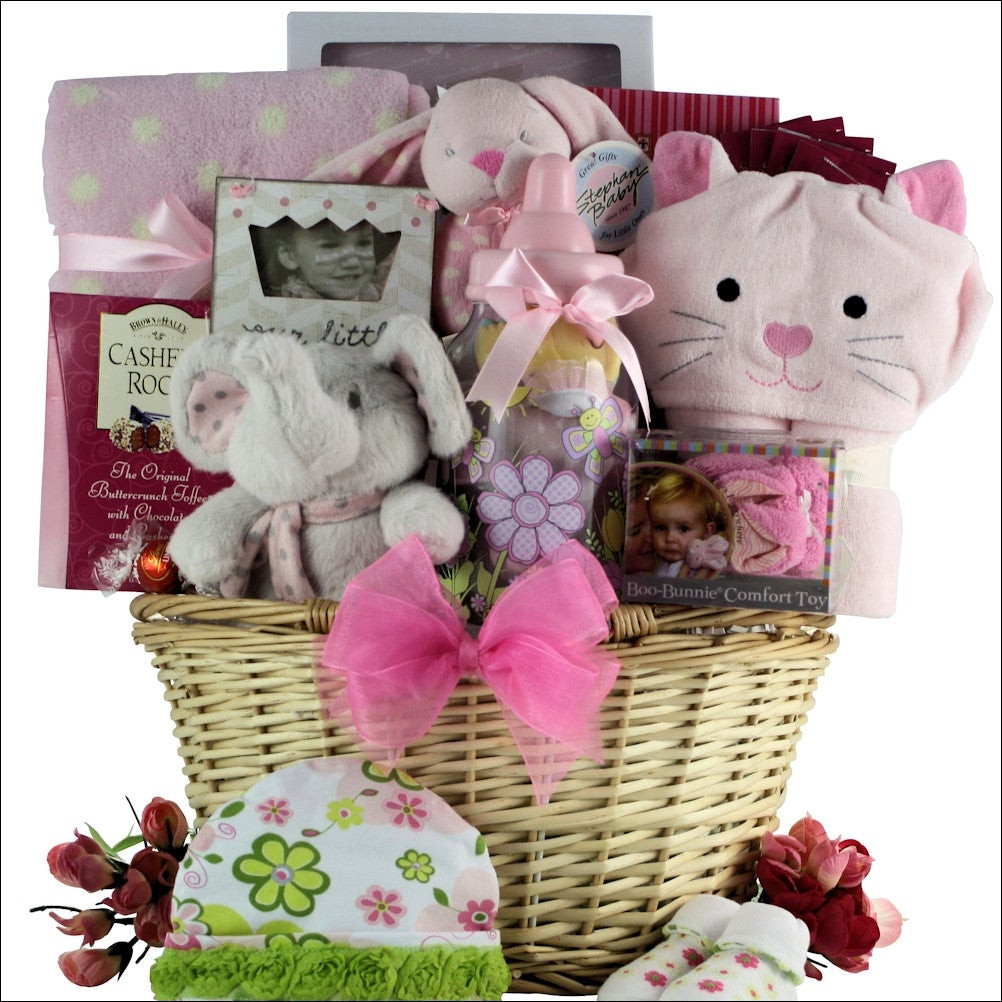 Toddler Girls Gift Ideas
 Congratulations Baby Girl Baby Gift Basket
